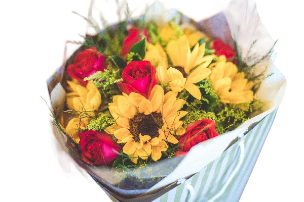 Garden Mix