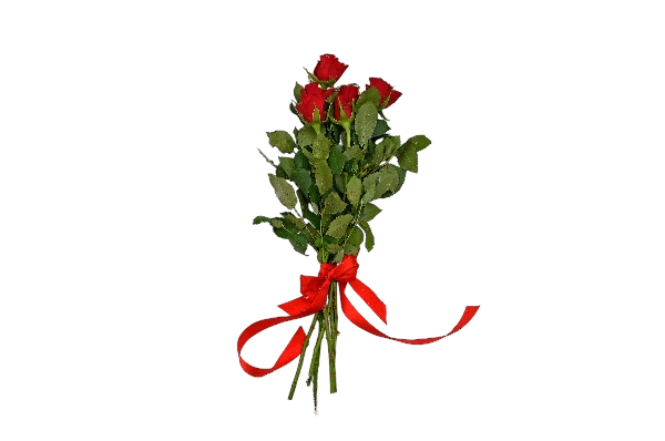 Red Roses