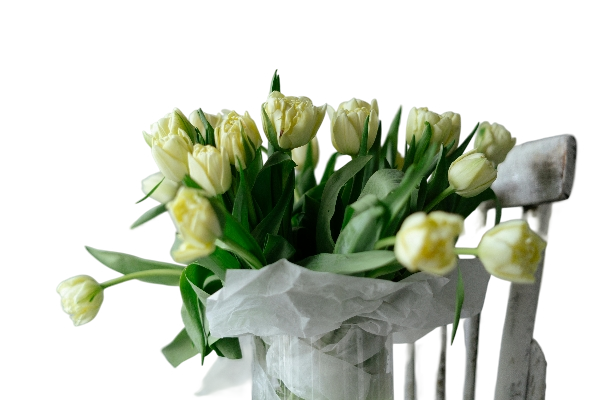 Tulip Mix